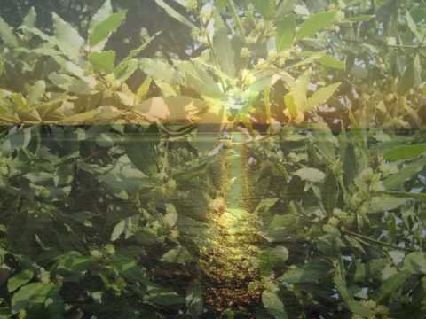 Rudi Šantl in Vinko Coce  - Od galeba krila