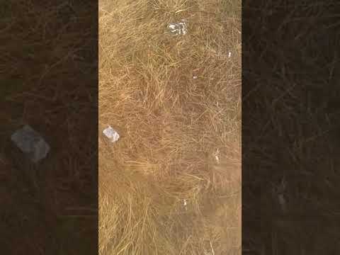 Uitați aici, "civilizație"! (1)