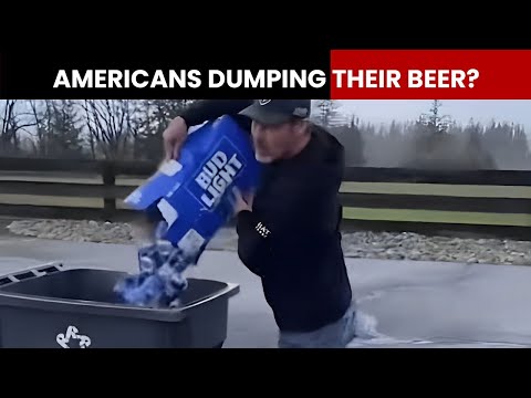 Why Are Americans Dumping Their Bud Light? | NewsMo