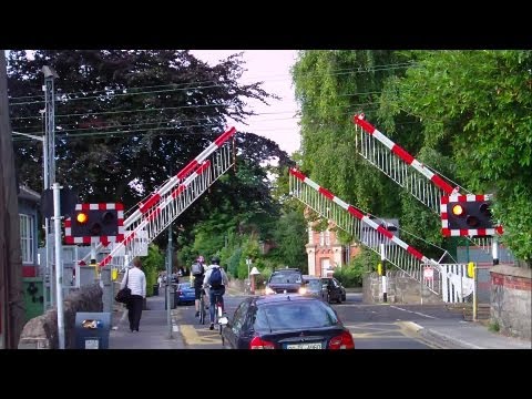 Level Crossing at Sydney Parade Station - 8300 Class Dart Train