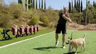 The Best Game of Fetch Ever with Quarterback Drew Brees