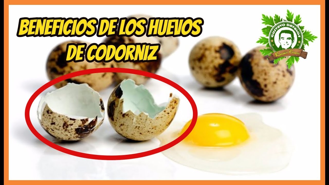 9 Beneficios De Los Huevos De Codorniz
