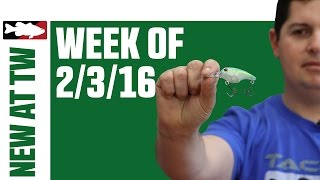 What's New At Tackle Warehouse 2/3/16