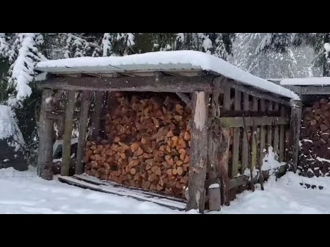 Firewood - all about seasoning- wood shed design. Best time to fall, buck, split