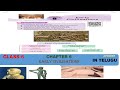 EARLY CIVILISATIONS PART 1 CLASS 6 APSCERT TELUGU SOCIAL STUDIES CHAPTER 6 NEW SYLLABUS