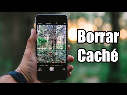 Borrar Caché y Datos