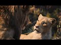 The Lion King 2019 Can You Feel The Love Tonight Music Video I 4K Ultra HD