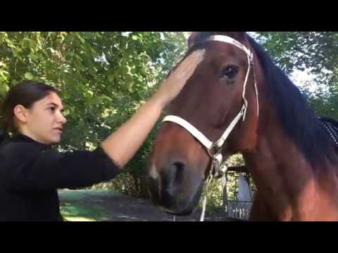 Dall'alba al tramonto