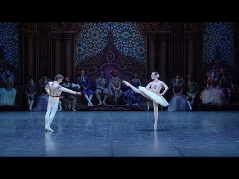 DON QUIXOTE | Trailer | Staatsballett Berlin
