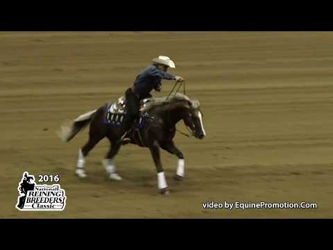 Docs Shining Crome ridden by Claudivan Ribeiro  - 2016 NRBC (Open Challenge)