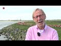 Rotaryclub Zeewolde zoekt donateurs voor 'landmark tulp', 70.000 euro nodig