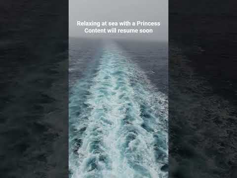 Thumbnail for Relaxing at sea @princesscruises #cruising #holiday #cardcreations #handmadecards