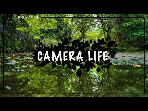 【Camera】『撮る』ことに無駄はない。写真を楽しんで生きる