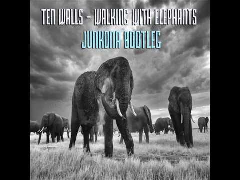 Ten Walls Walking With Elephants JunkDNA Remix