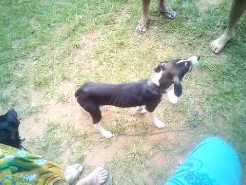 5/10/2018 lá em Alfredo Vasconcelos mg um passeio de domingo 