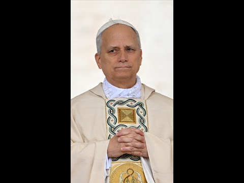 Doctor says Pope Leo's cancer likely 'early stage'