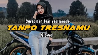 Download lagu Tanpo tresnamu surepman feat restianade slowed terbaru 2024 mp3
