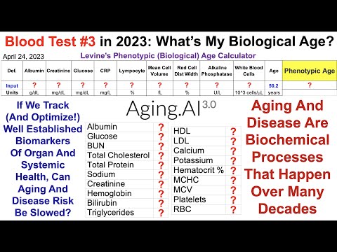 Quantifying Biological Age: Blood Test #3 in 2023