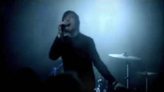 BIRDS OF TOKYO - WILD EYED BOY