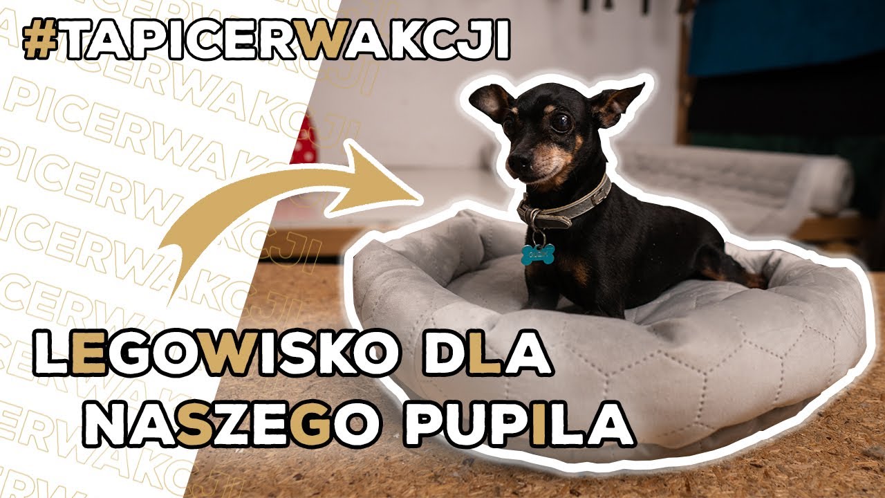 Watch Jak zrobić legowisko dla psa lub kota Łatwe i mocne now Jak zrobić legowisko dla psa lub kota Łatwe i mocne