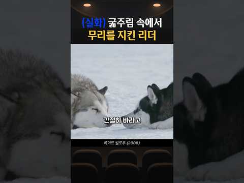 (실화) 굶주림 속에서 무리를 지킨 리더