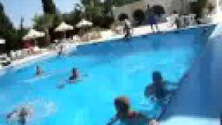 preview picture of video 'Tunezja Monastir Hotel Garden Beach 07.08 21.08 2008 Skok do basenu na Małysza'