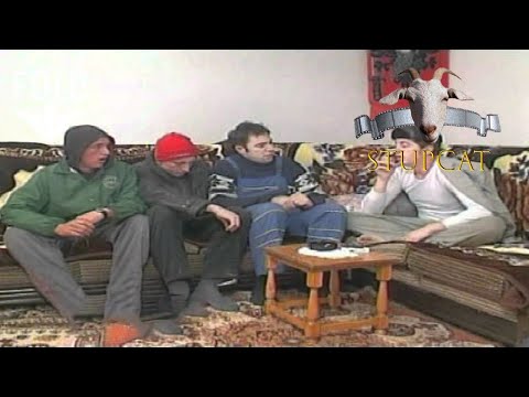 Stupcat - Dashnija e babes