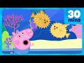 George Sees A PUFFERFISH BRAND NEW Peppa Pig Episodes 30 Minutes