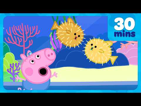 George Sees a PUFFERFISH! 🐡 BRAND NEW Peppa Pig Episodes | 30 minutes