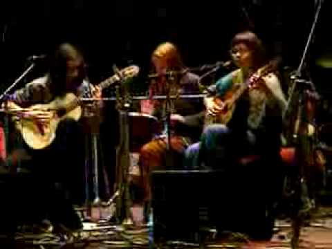 Malý Prostor - Albatros