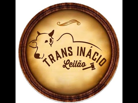 Leilão de Gado em MORRINHOS-GO,09/11/2025  TransInácio Leilão - 18/00 Hs - Presencial e virtual.