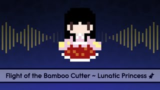 Cover art for 【Touhou Lyrics】 Flight of the Bamboo Cutter ~ Lunatic Princess