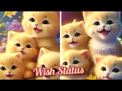cat images videos on YouTube ll🥀💕 love whish you trend video #youtube#virel#video#please#subscribe