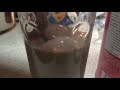 Pouring chocolate milk sound effect VERY Satisfying