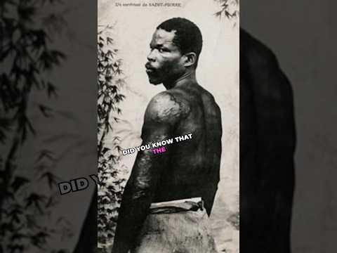 Survivor of the Deadly 1902 Mount Pelée Eruption: The Incredible Story of Louis-Auguste Cyparis