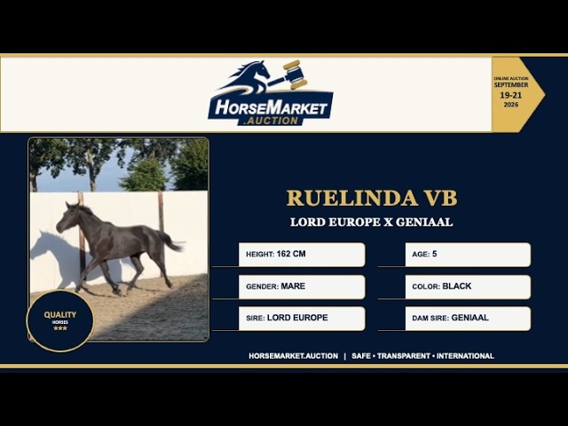 Ruelinda VB