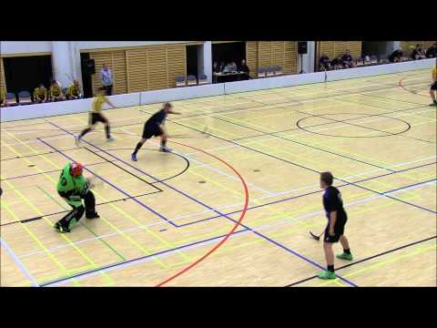 Maalikooste FC Pogosta-Coach Team 29.11.2014