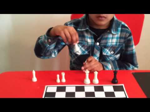 "Chess for Beginners" by  Niranjan Matharishva