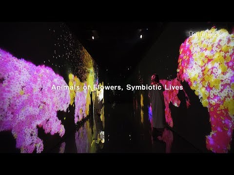 園芸 燃える茂み