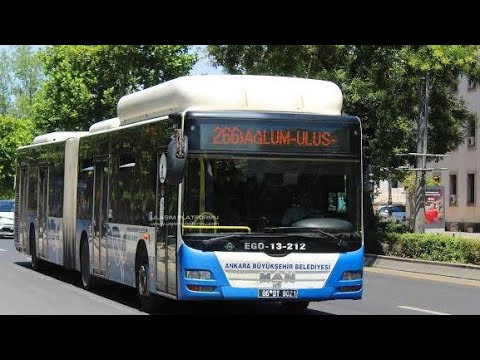 Man Lion's City Hat 204 İncirli gar 15 temmuz Kızılay Kod numara 13-212