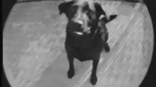 Poor Old Lu - Sit & Stare - 1 - Intro