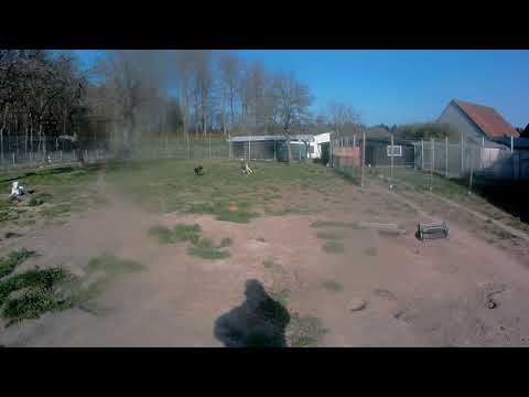 2020 0327 160204 063