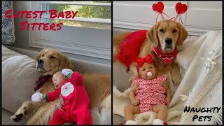 Cutest Baby Sitters|Cutest Babies and Dogs Compilation|Naughty Pets