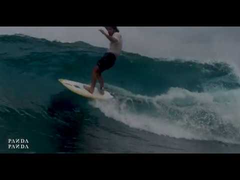 Panda Surfboards, Shiitake - Panda Surfboards Panda Surfboards, Shiitake - Panda Surfboards