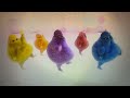 The Boohbahs Do Silly Marching To The Blue S Clues Magenta Comes Over VHS End Credits