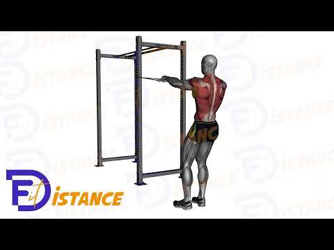 Tirage horizontal frontal à l'élastique - Exercice Tirage horizontal frontal à l'élastique en vidéo