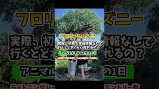 壮観！世界最大級の動物園ディズニー！初見＆事前情報なしで行くアニマルキングダムの1日！Disney’s Animal Kingdom: A First Visit【ウォルトディズニーワールド／WDW】