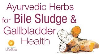 Ayurvedic Herbs for Bile Sludge &amp; Gallbladder Health | John Douillard&#39;s LifeSpa