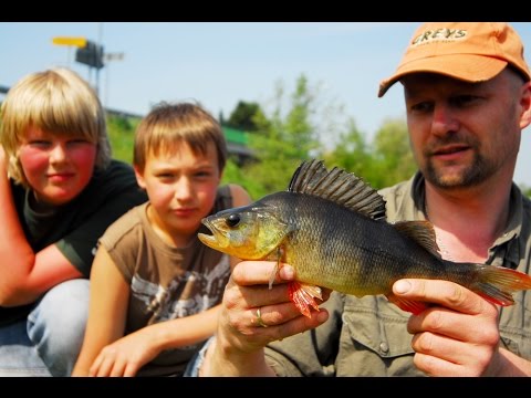 Matze Koch: An Afternoon of Spin Fishing - Matze's Antics 10-2011