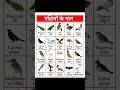 20 पक्षियों के नाम हिंदी और इंग्लिश में | 50 Birds Name in Hindi and English #पक्षियों #birdsname